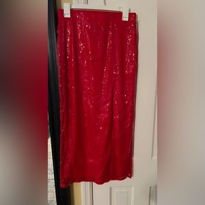 Brand new with tags a new day sequin skirt
